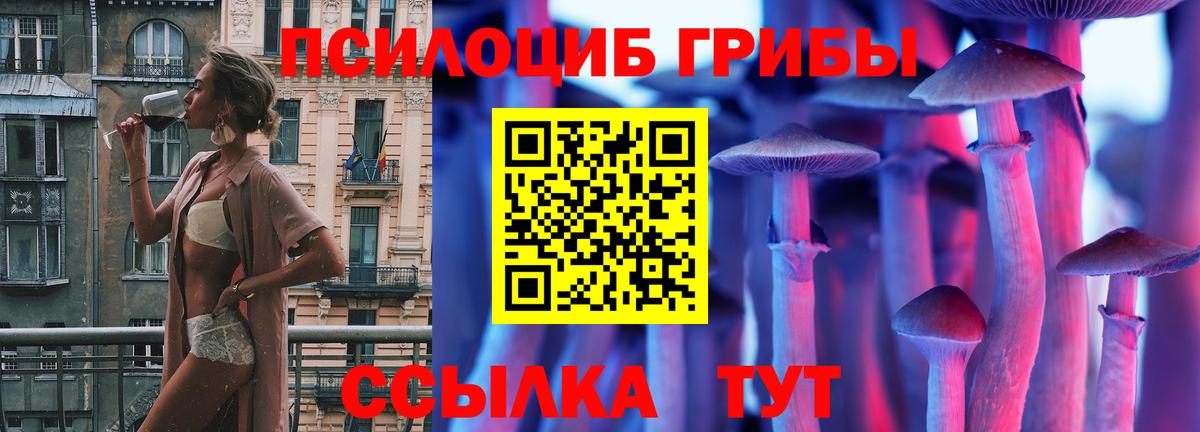 Псилоцибиновые грибы Cubensis  Вход с VPN  Ростов-на-Дону  Псилоцибиновые грибы мухоморы 
